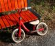 Rowerek biegowy Qplay Qplay Rowerek Biegowy Trainer Red 7