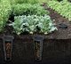 Prosperplast Podziemny kompostownik ogrodowy COMBIOSOIL 11l 5