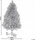 Beliani Ośnieżona sztuczna choinka 240 cm biała BASSIE 4