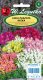 Legutko Nasiona kwiatów kolorowych Aksamitka Godecja, 11g 9