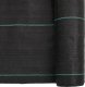 vidaXL vidaXL Agrowłóknina antychwastowa, czarna, 1,5x25 m, PP 6