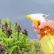 Springos Spryskiwacz do kwiatów 500ml atomizer do roślin, zraszacz ręczny UNIWERSALNY 2