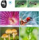 Apexel Obiektyw Makro Do Telefonu Smartfona 100mm Hd + Lampa Led 40 / Cri 95+ / Apl-hb100fl23 4