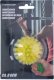 Dunlop ŚCISK DO RĄK PIŁECZKA Z KOLCAMI JEŻYK 6CM DUNLOP ŻÓŁTY 1