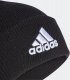 Adidas Czapka adidas Logo Beanie CUF IB2651 1
