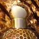Guerlain GUERLAIN AQUA ALLEGORIA FORTE BOSCA VANILLA (W) EDP/S 125ML REFILLABLE 3