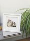 Ramka Deknudt Deknudt S65KK1 white 13x13 Wood double Passepartout 2