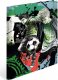 Herma HERMA  Sammelmappen A4 Karton Street Soccer 1