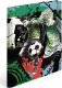 Herma HERMA  Sammelmappen A4 Karton Street Soccer 4