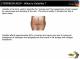 Gwinner Push-up Leggings Anti Cellulite czarne r. S 2