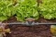 Gardena Gardena MDS Regulier-/Absperrventil 13 mm (1/2") 3