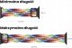Tech Craft WYMIENNA PLECIONA OPASKA APPLE WATCH ( 38 / 40 / 41 MM ) MIX 2