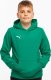 Puma Bluza dla dzieci Puma Team Goal Casuals Hoddy zielona 658619 05 164cm 1