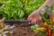 Gardena Gardena 13203-20, Pipe coupling, Drip irrigation system, Plastic, Black, 13 mm, 1 pc(s) 3