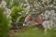 Gardena Gardena 13305-20, Drip irrigation system, Plastic, Black, Green, 1 pc(s) 4