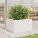 vidaXL vidaXL Donica ogrodowa, biała, 40x40x23 cm, lite drewno sosnowe 3