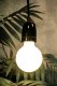 Segula Segula LED Globe 80 opal E27 3,2W 330Lm 2700K dimmbar 6