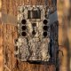Bushnell Wildkamera 32MP Core DS 4K camo 3