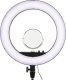Lampa pierścieniowa GODOX Godox LR160B LED Ring Light 1