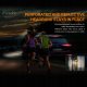 Latarka Fenix Fenix Head Lamp  HM50R V2.0 700 lm 6