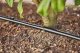 Gardena Gardena Micro-Drip-System drip irrigation hedges/bushes set, 50 meters, drippers (black, model 2023, above and below ground) 11