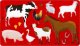 Starpak SZABLON ANIMALS 225X130 2SZT STK PBH 12/144 2