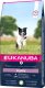 Eukanuba EUKANUBA Puppy & Junior Small & Medium Lamb & Rice - sucha karma dla szczeniąt - 2,5 kg 1