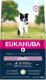 Eukanuba EUKANUBA Puppy & Junior Small & Medium Lamb & Rice - sucha karma dla szczeniąt - 2,5 kg 1