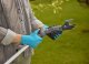 Sekator Gardena GARDENA Cordless Telescopic Pruning Shears HighCut 250/18V P4A solo, 18V (dark grey/turquoise, without battery and charger, POWER FOR ALL ALLIANCE) 3