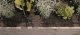 Gardena GARDENA Micro-Drip-System drip irrigation set balcony, 15 plants, drippers (black/grey, model 2023) 4