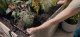 Gardena GARDENA Micro-Drip-System drip irrigation set balcony, 15 plants, drippers (black/grey, model 2023) 5