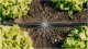Gardena GARDENA Micro-Drip-System drip irrigation set vegetable/flower bed 60m2, dripper (black/grey, model 2023) 8