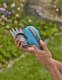 Gardena GARDENA Cordless Grass Shears ClassicCut Li, 3.6 volts, set with shrub blade (turquoise/black, Li-ion battery 2.5 Ah) 9