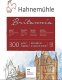 Hahnemühle Hahnemühle Britannia Watercolour 12 sheets rough  30x40cm 300g 3