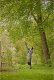 Sekator Gardena GARDENA Cordless Telescopic Pruning Shears HighCut 360/18V P4A solo, 18V (dark grey/turquoise, without battery and charger, POWER FOR ALL ALLIANCE) 9