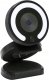 Kamera internetowa Foscam W28, webcam (black) 1
