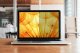 Filtr 3M 3M BPNDE002 Privacy Film 16:9 Bright Screen Dell Latitude 9510 1