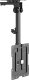 Equip Equip Deckenhalterung 23"-55"/  1TFT 20kg fest            sw 1
