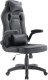 Fotel Raptor Gaming Raptor Gaming Stuhl GS-50 PU                 schwarz/schwarz 1