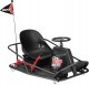 Razor Razor-CRAZY CART XL 12