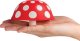 Ototo OTOTO Magic Mushroom XL Funnel 4
