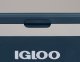 Lodówka turystyczna Igloo Igloo ICF60, cool box (blue) 8