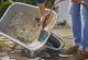 Gardena GARDENA Cleansystem hand brush M hard, washing brush (grey/turquoise, all-round soft plastic strip) 5