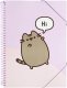Pusheen Pusheen - Skoroszyt A4 z gumką + 30 przezroczystych koszulek 7