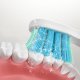 Końcówka Seago Zestaw zapasowych szczoteczek do SG-2303 SEAGO, 4 szt., kolor biały, SG-2303 Refill Wh 2