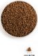 Acana First Feast Cat 1.8kg (DLZANAKSK0020) 3
