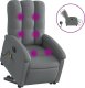 vidaXL Podnoszony fotel masujący, elektryczny, rozkładany, ciemnoszary 2