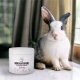 Pets Pets Neutralizator Zapachów do Wnętrz Cytrusowy 170g 1