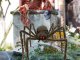 Verk Pająk halloween gigant olbrzym tarantula dekoracja Pająk halloween gigant olbrzym tarantula dekoracja 7