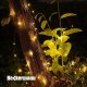 Dekoracja świąteczna Heckermann Lampki Solarne Heckermann Vct-Slc-21 200Led Warm 3
